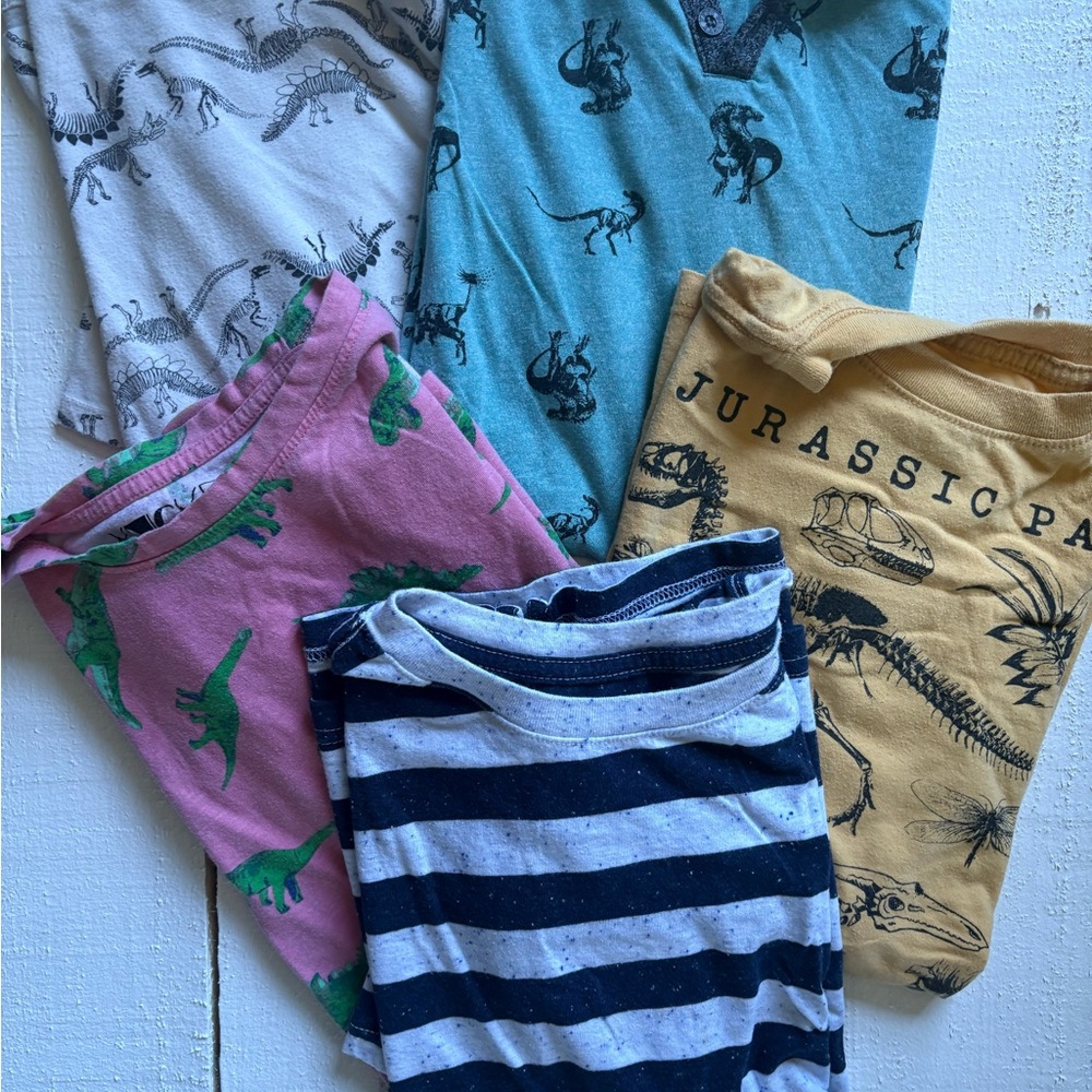 Boys dinosaur T-shirt set